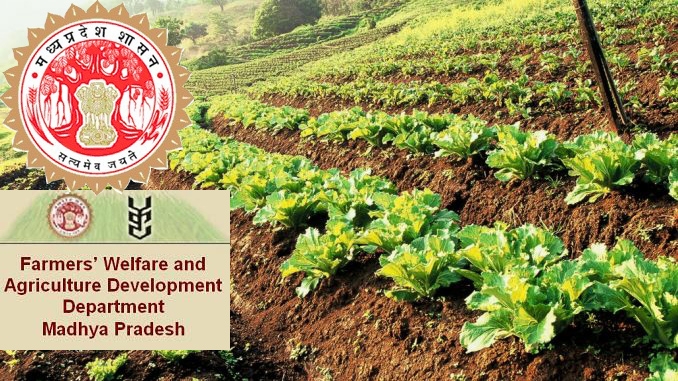 Area of certified organic farming to become 4 lakh hectare by 2021