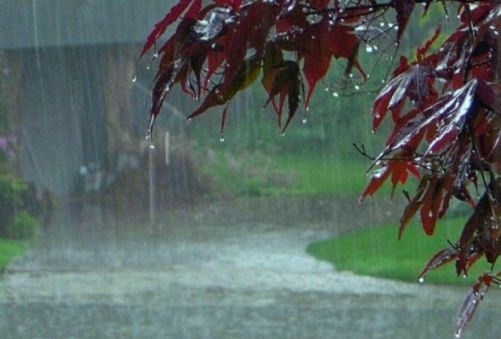 Less likelihood of continue good rainfall in Madhya Pradesh.