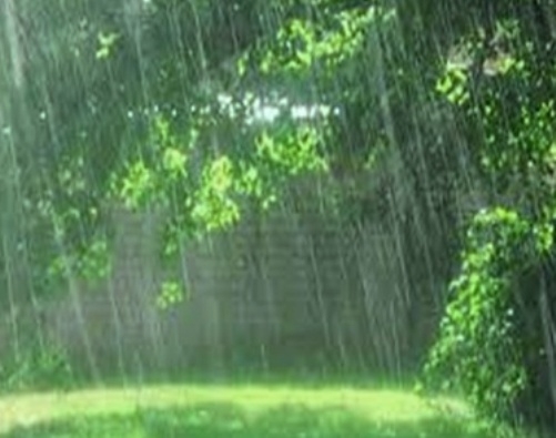Rain may occur in Bhopal and many parts of the state with heavy showers