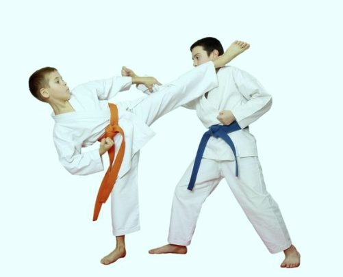 Do you know the difference between judo and karate?
