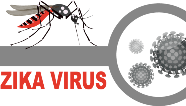 Zika virus threat alert in many states; Symptoms and prevention