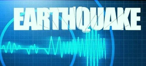  Light intensity quake hits Himachal 