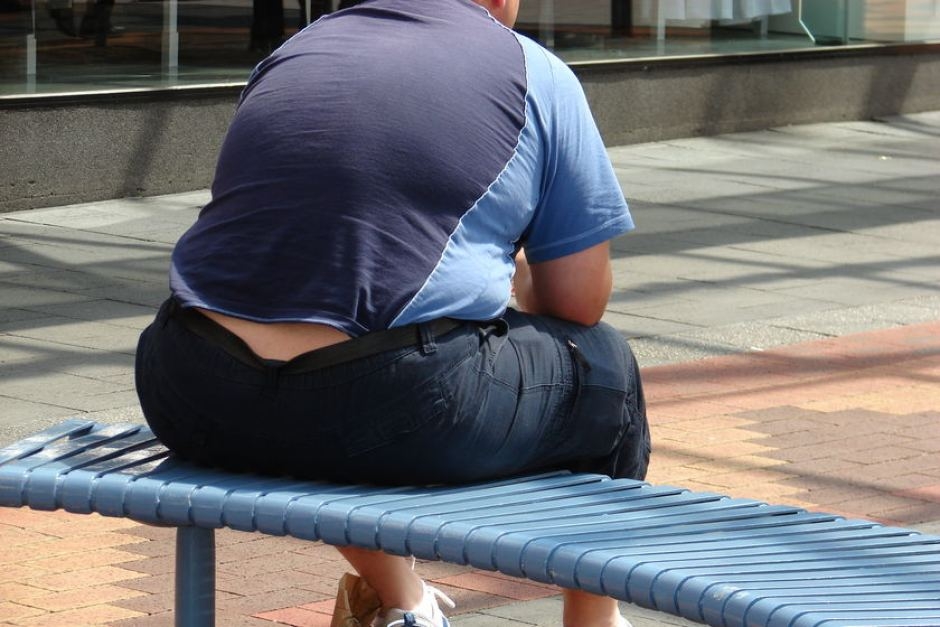  Obese teenagers can face pancreatic cancer risk 