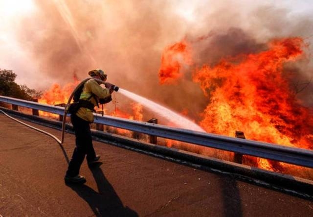  California wildfires death toll rises to 50 