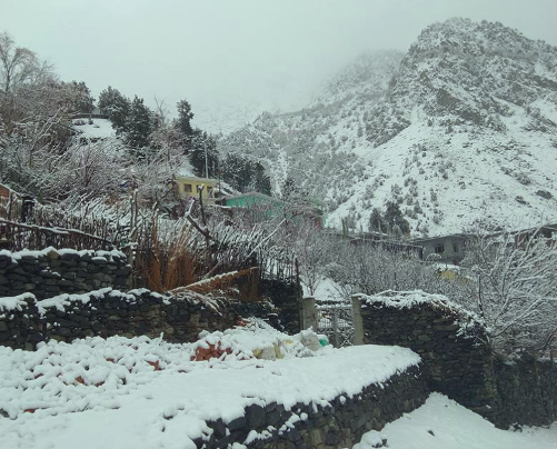  Manali, Narkanda get season's 1st snowfall 