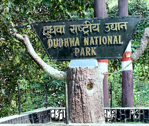  UP's Dudhwa National Park opens 