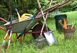  How to take care of your garden tools 