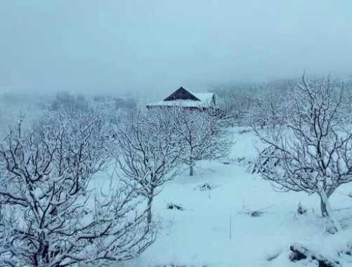  Himachal reels under severe cold after snow 