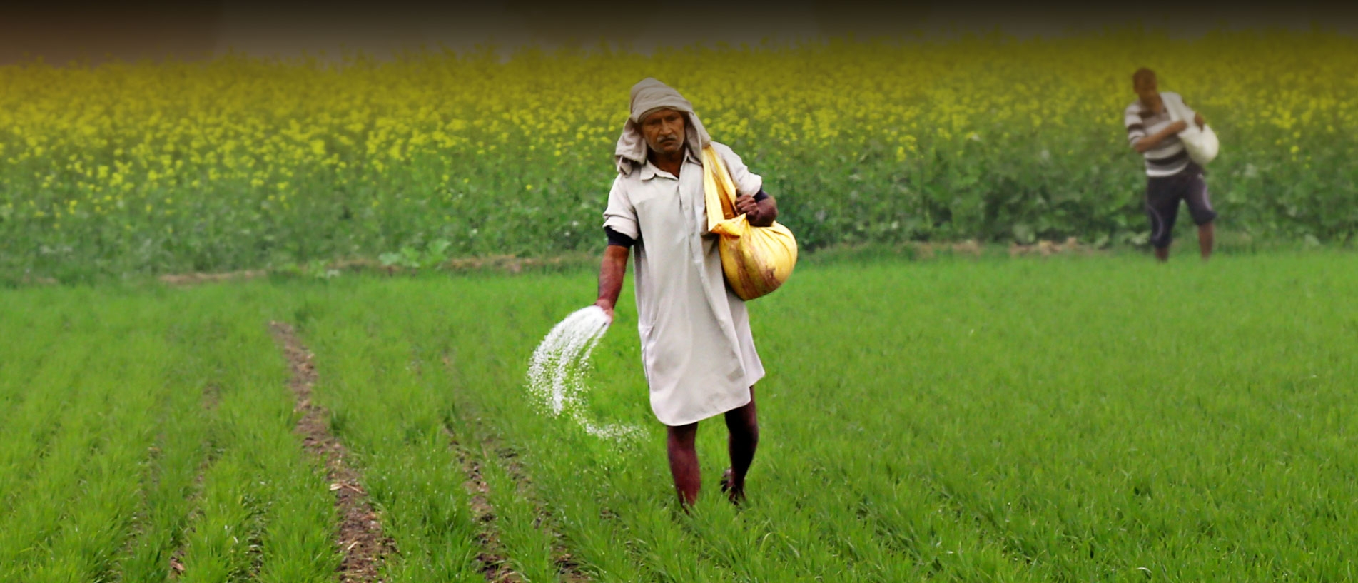 Agriculture Department makes situation on availability of fertilizers in November clear