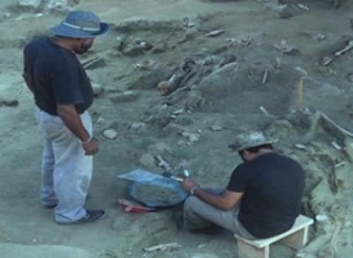  230 skeletons found in Sri Lanka's largest mass grave 