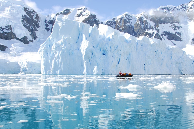  In Antarctic, Scientists to undertake 'most detailed whale poo expedition ever' 