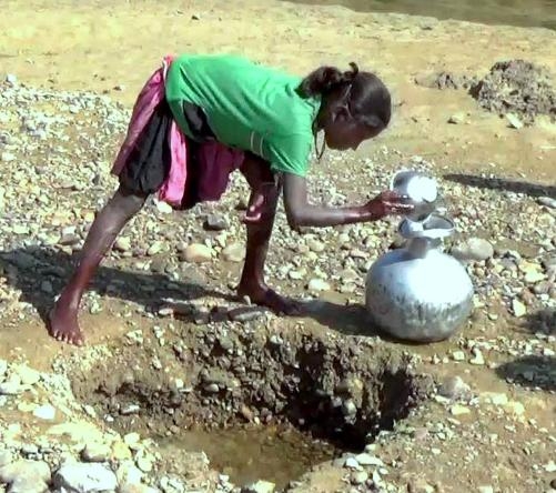  Hope flickers in Assam village where water is 'slow poison' 
