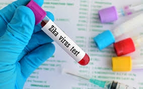  6 new antibodies to combat Zika 