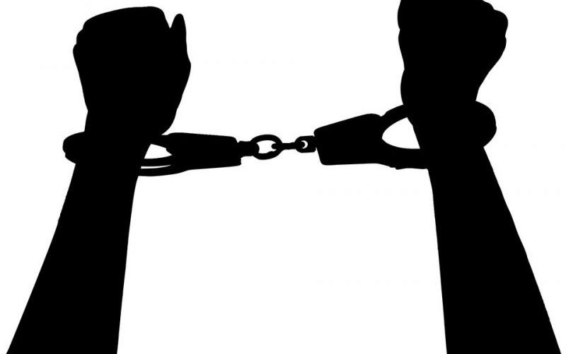  Two minors arrested for cow slaughter dubbed innocent 