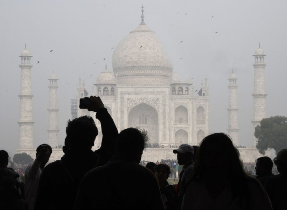  No respite as Simian armies continue to cause panic in Taj city 