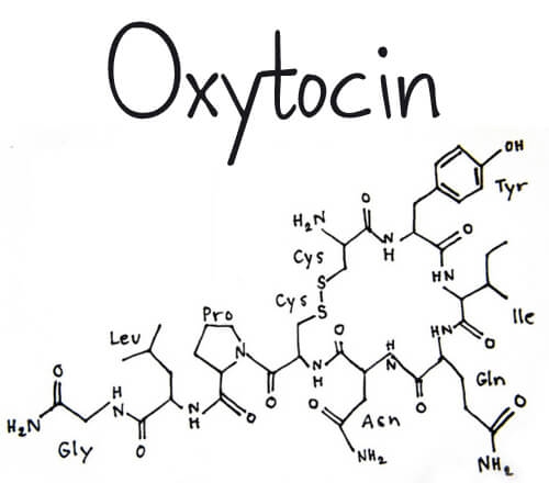 Oxytocin manufacturing - Delhi High Court recently set aside a Central Government order