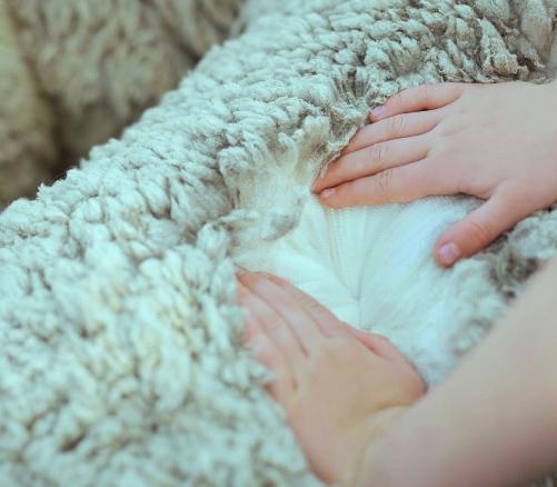  Amp up your winter wear with merino wool 