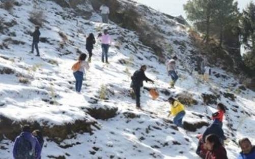  Sunny Himachal as Shimla registers season's lowest temperature 