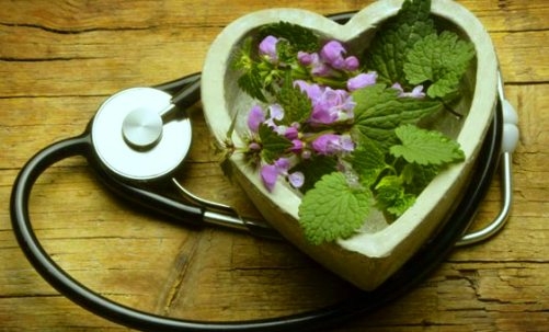  5 herbs for a healthy digestive system 