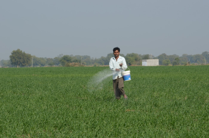 Distribute urea through Cooperative Societies only