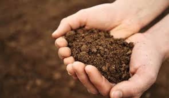  Bacteria in Northern Ireland soil could combat superbugs: Study 