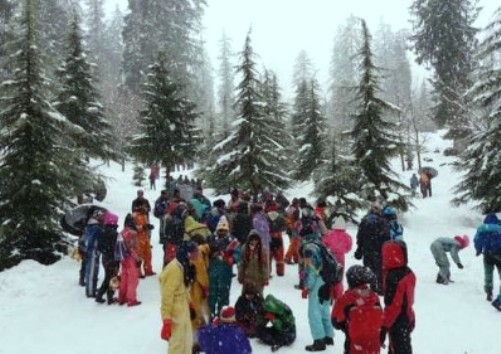  Tourists cheer as Manali sees snow 