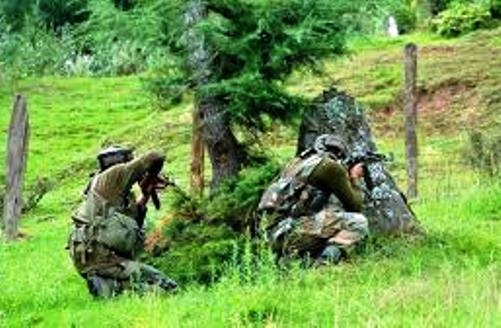  India, Pakistan trade fire on LoC 