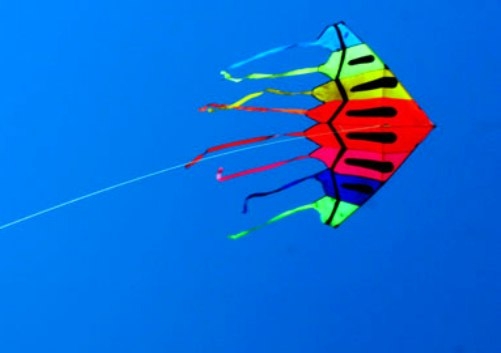  Kite-flying claims 2 lives in Hyderabad 
