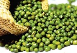 Procurement of Moong, Urad, Groundnut, Sesame and Ramtil till January 25