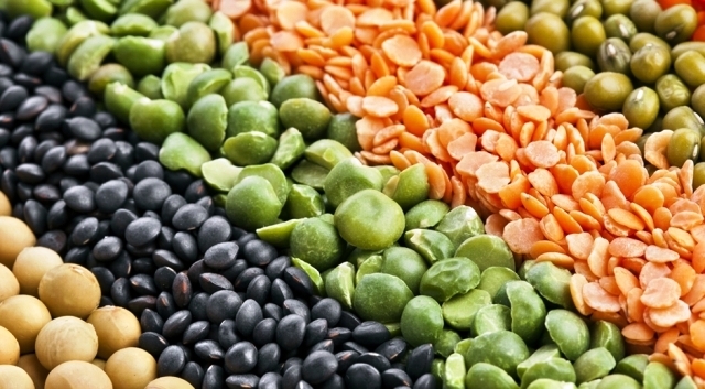 Purchase Gram, Lentil and Mustard on Support Price