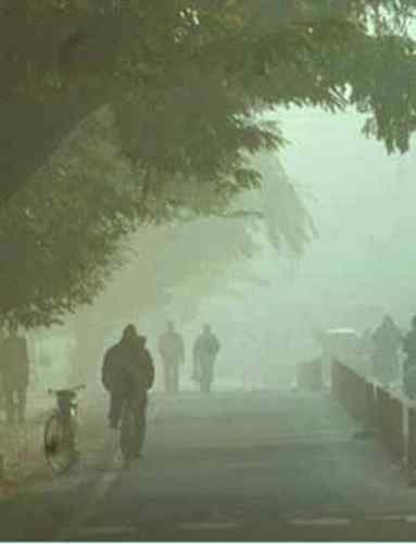 Bhopal to face cold wave three more days