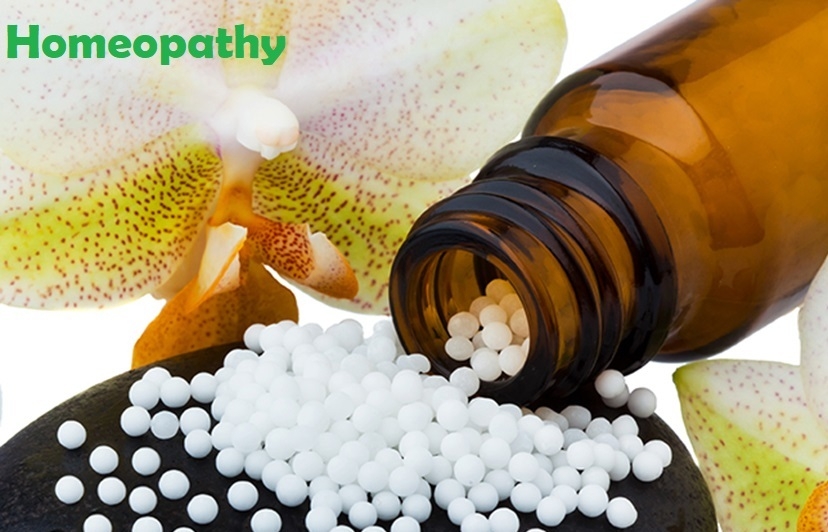 International Convention on World Homoeopathy Day to deliberate on linking Education & Clinical Practice with Research