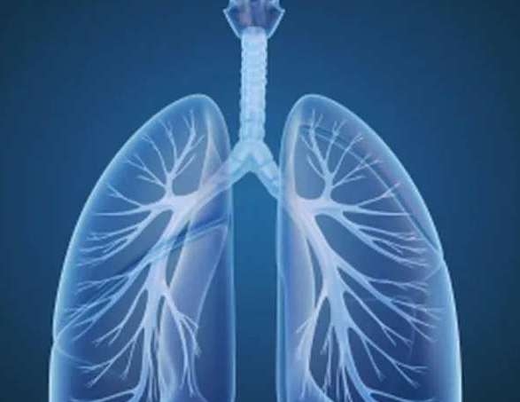  Novel model to predict lung cancer survival developed 
