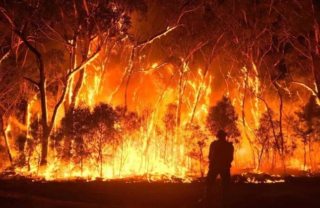 Fire fire every where, not a drop to douse 