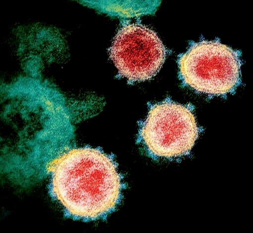  Research claims; Coronavirus can spread up to a height of 13 feet