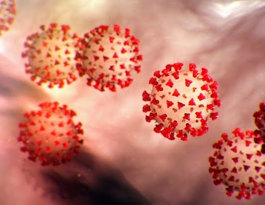 An American research claim; the sun's rays kill the Coronavirus in a few minutes