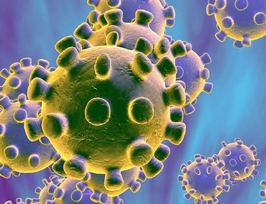 So, can nicotine cure the Corona virus infection?