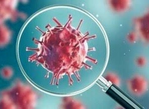 Scientists discover the antibody to Coronavirus; the clinical trial is expected to be successful