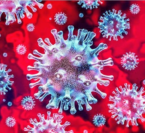 Successful testing done of the Coronavirus infection vaccine on mice