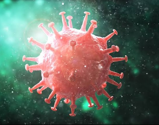 Scientists fear the 'second wave' of the Coronavirus infection