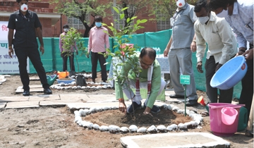 CM Chouhan plants saplings on World Environment Day