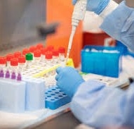 'This Vitamin' can prove the defense shield in avoiding the Coronavirus Infection