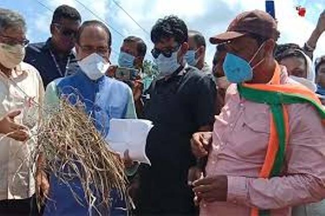 Will compensate loss of farmers even though I have to obtain loan: CM Chouhan