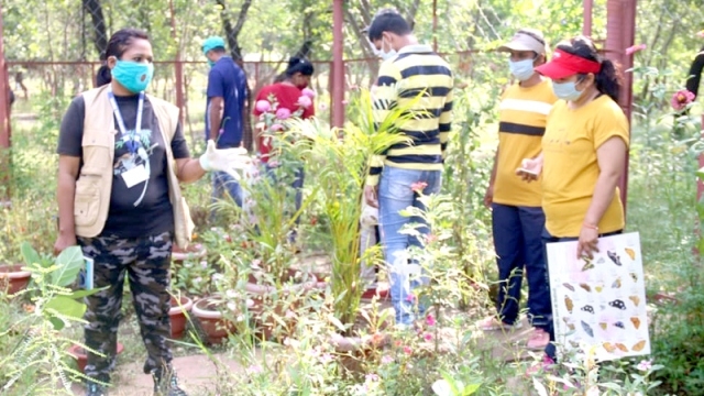Various species of butterflies thrills participants