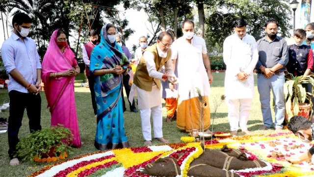 Maximum efforts for protection of cow progeny