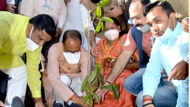 Chief Minister Chouhan plants Rudraksha sapling