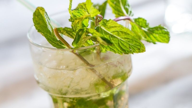 Grapefruit White Rum Julep