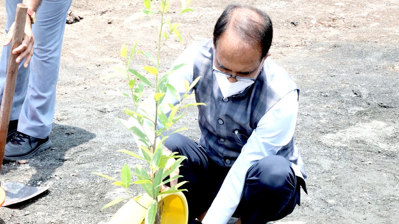 Chief Minister Chouhan plants Rudraksha sapling