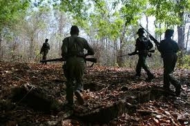  Maoists, security forces battle in Odisha 