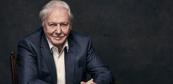  Natural history content is universal: David Attenborough 